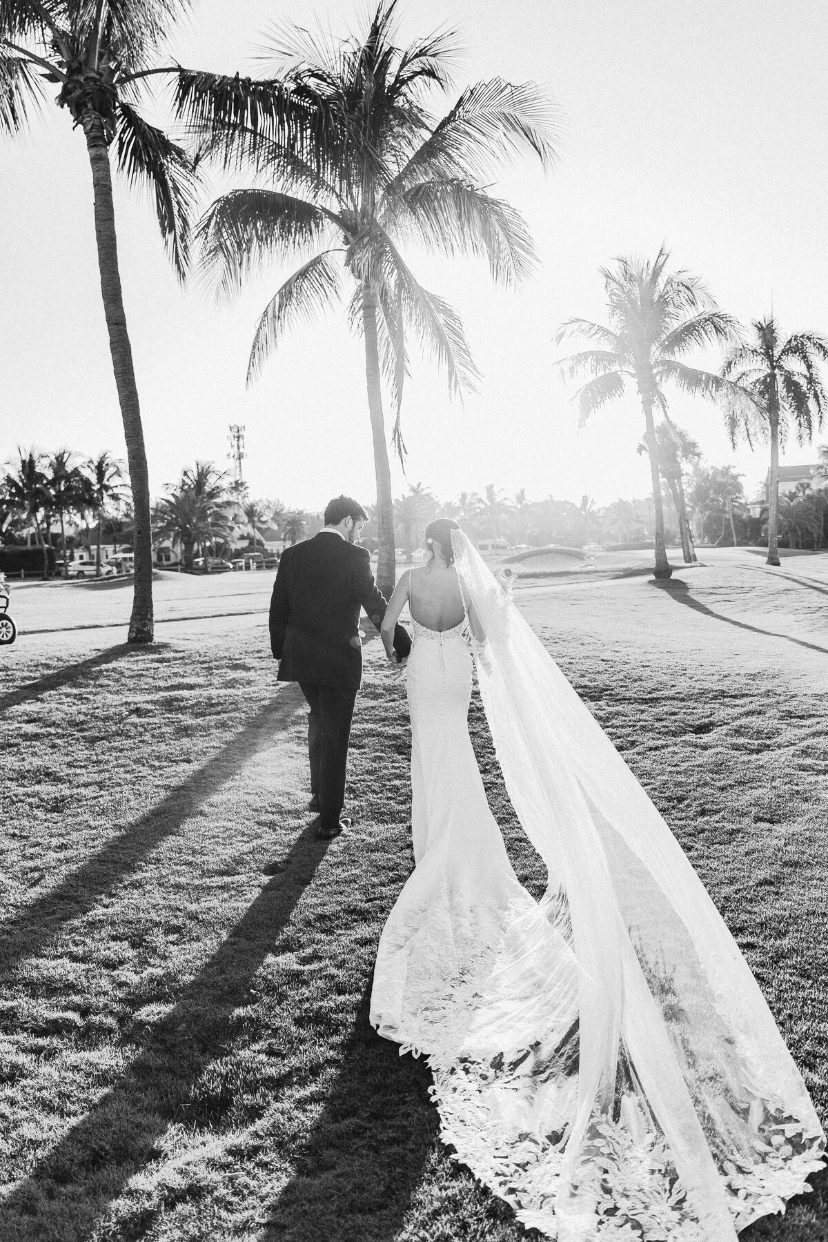 Bride and groom walking hand in hand beneath swaying palms on the sun-drenched lawn at Gasparilla Inn in Boca Grande — luxury wedding photographer Ailyn La Torre