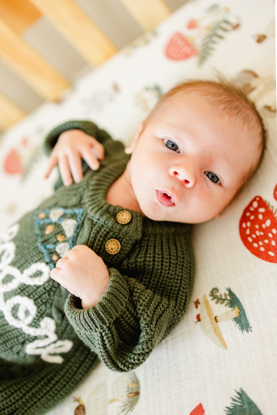 Tampa Family — Tampa Bay family photographer Ailyn La Torre